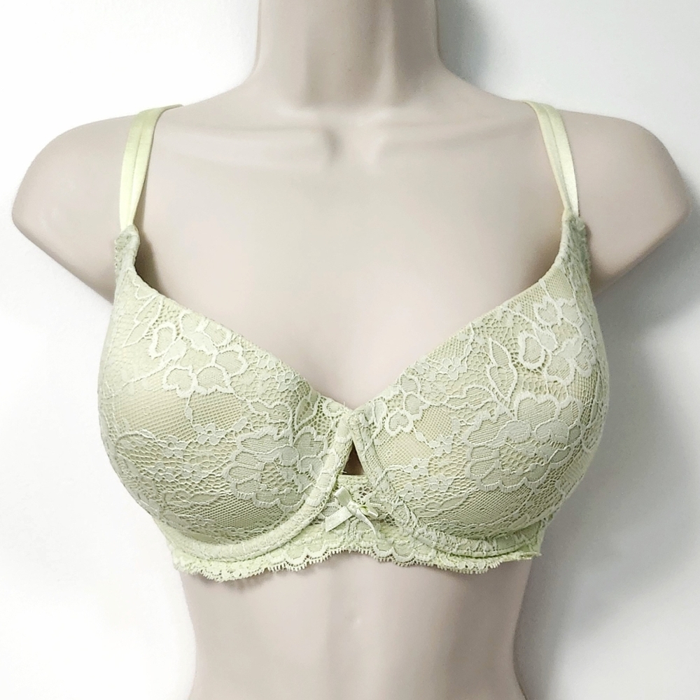 Ambrielle 40C Push Up Bra NWT